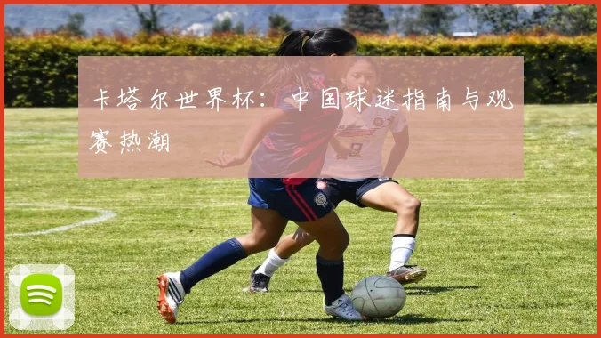 卡塔尔世界杯：中国球迷指南与观赛热潮