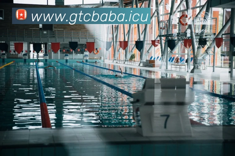 多媒体互动体验